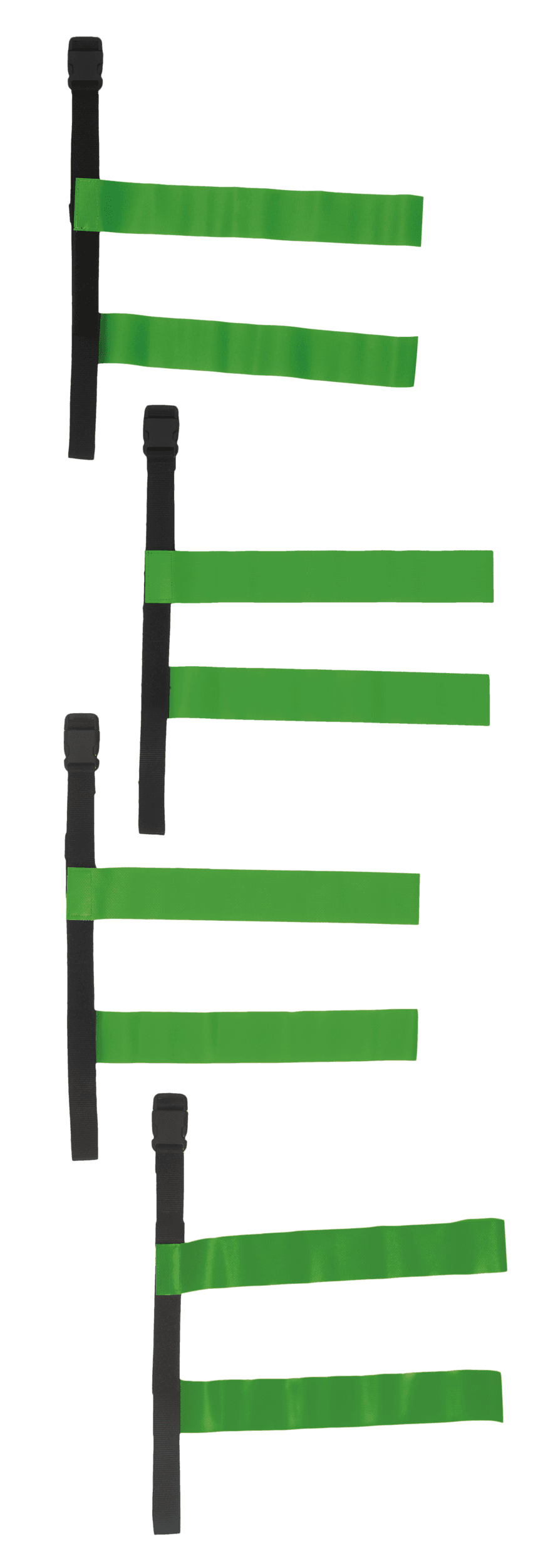 Tag belt